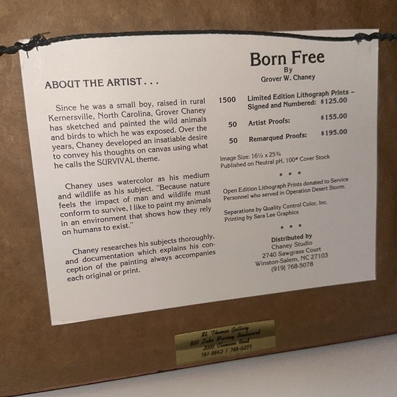 “Born Free” Framed Print 12.5 x 10 inches. Print size 6.75 x 4.5 inches. Signed - Picture 4 of 4